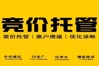 竞价SEM托管案例：精准营销的利器